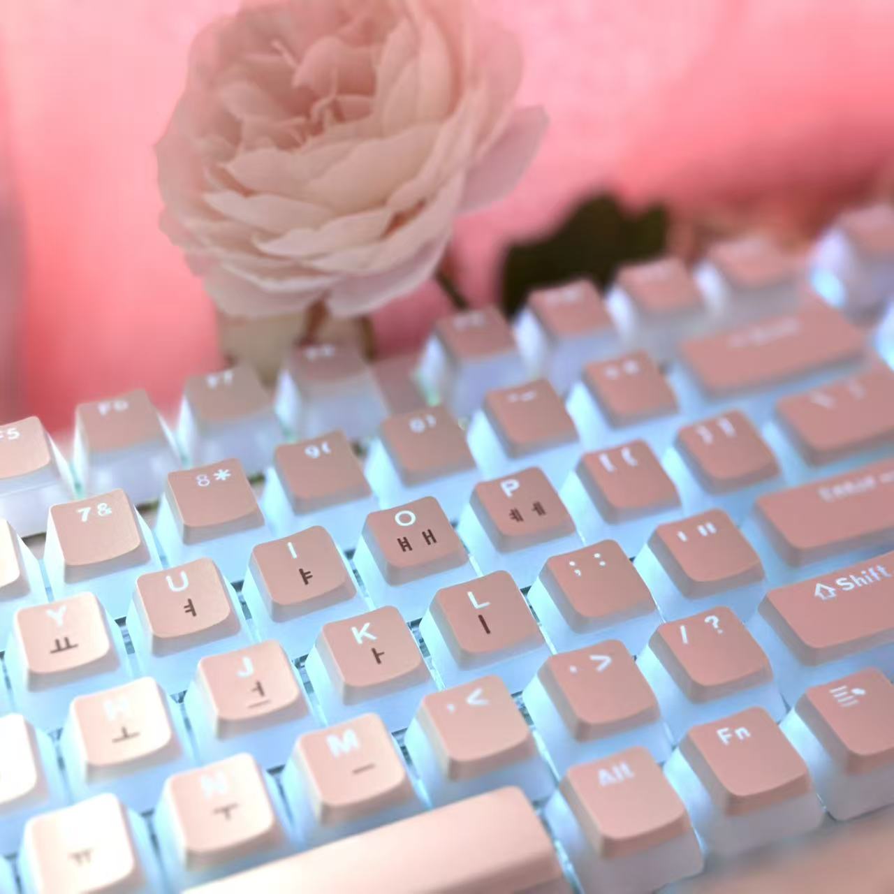Hangul Keycap Layout coreano K - Gaming Accessories Aesthetic recensione e prezzo
